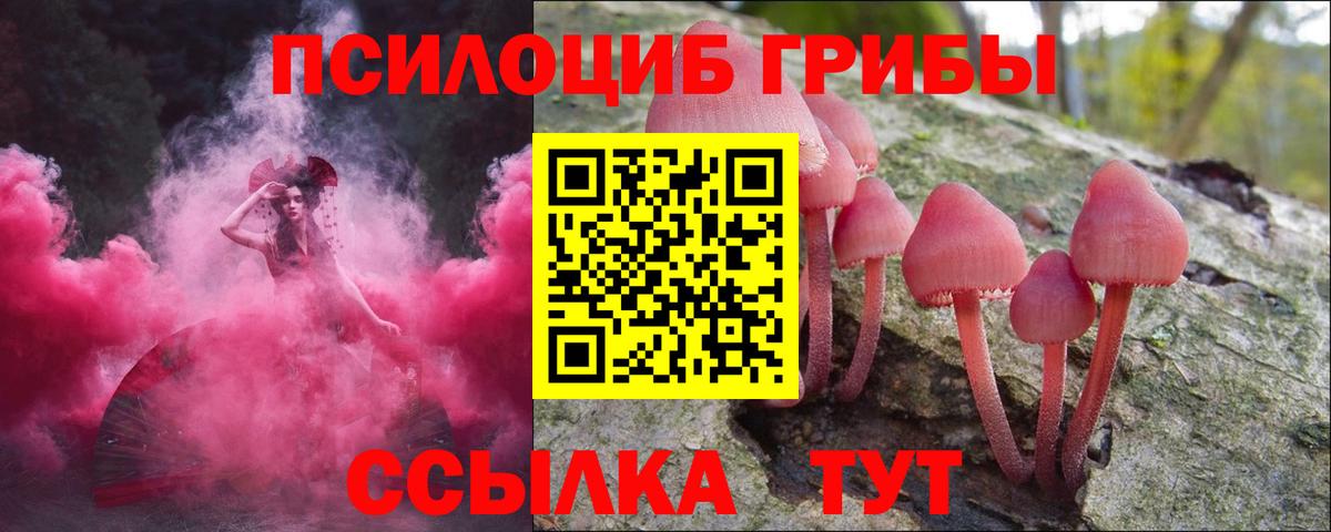 как найти закладки  Галлюциногенные грибы Psilocybe  Вход с VPN  Назарово  Псилоцибиновые грибы Psilocybe 